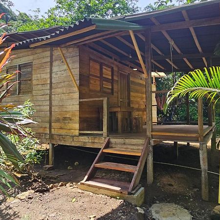 The Pelican House Hostel El Valle  ภายนอก รูปภาพ