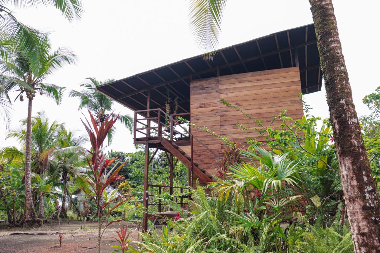 The Pelican House Hostel El Valle  ภายนอก รูปภาพ