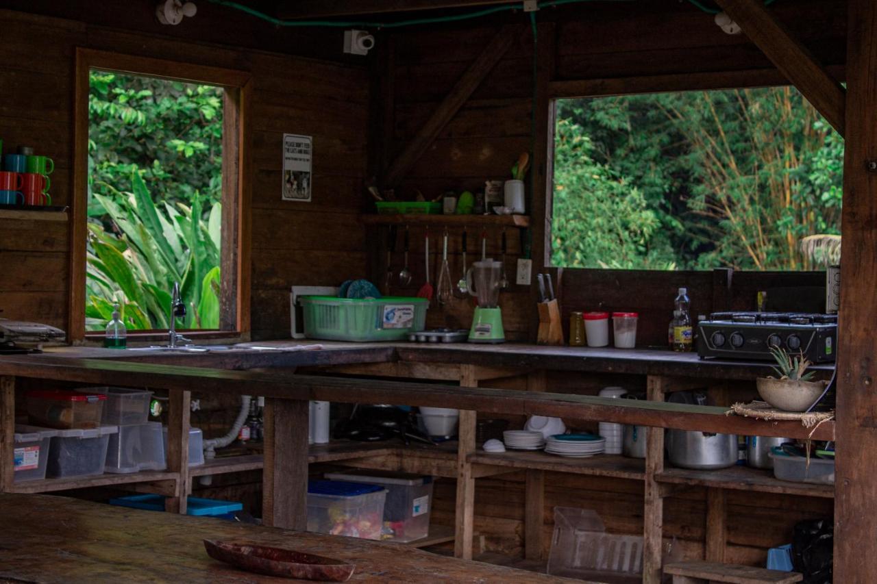 The Pelican House Hostel El Valle  ภายนอก รูปภาพ