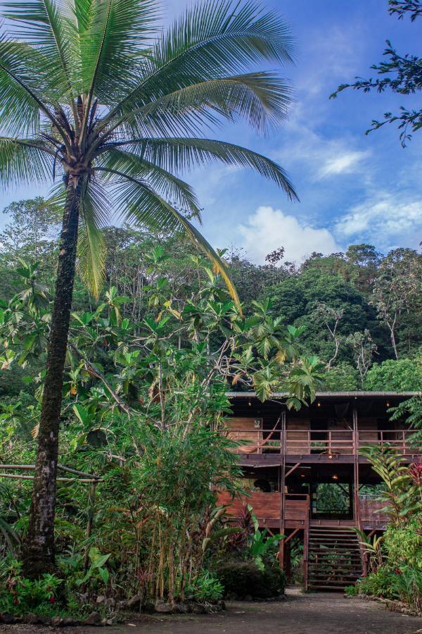 The Pelican House Hostel El Valle  ภายนอก รูปภาพ